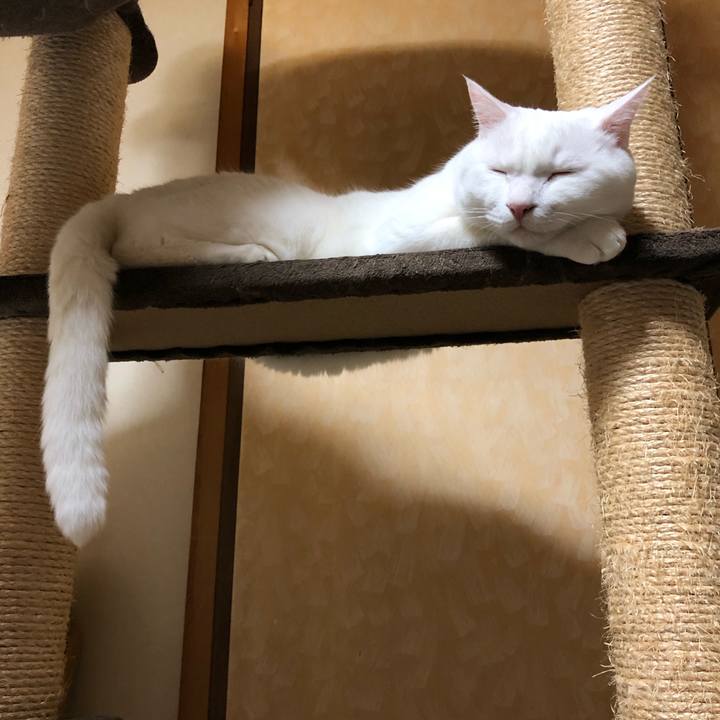 71327eaa bc21 475c 8988 986b5a6174a0 1632206379288