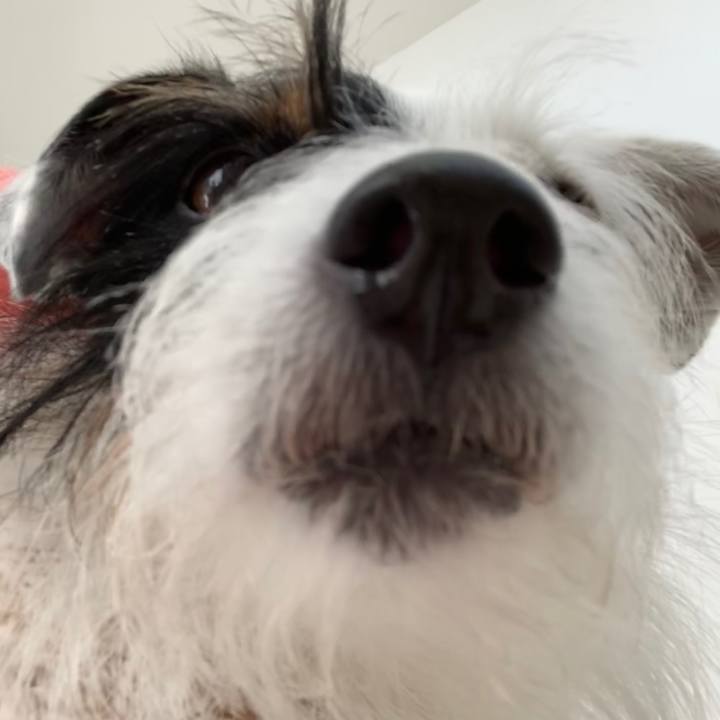 71328674 40c3 4201 a017 e4709cebecbe 1577846356982