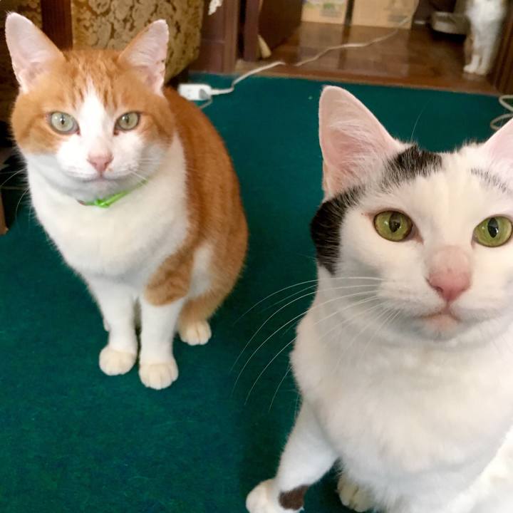 7132ac3f 5cb0 400c bb36 ca1c93030363 1554759717584