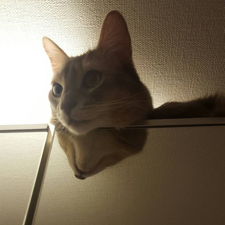 7132b617 4afb 4a59 b7e7 abe89e1d0318 1518008564860