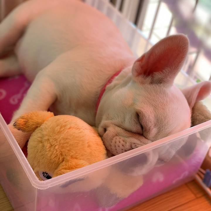 7132ebcc 80c9 4e13 ad0b 52c04023918d 1636005943208