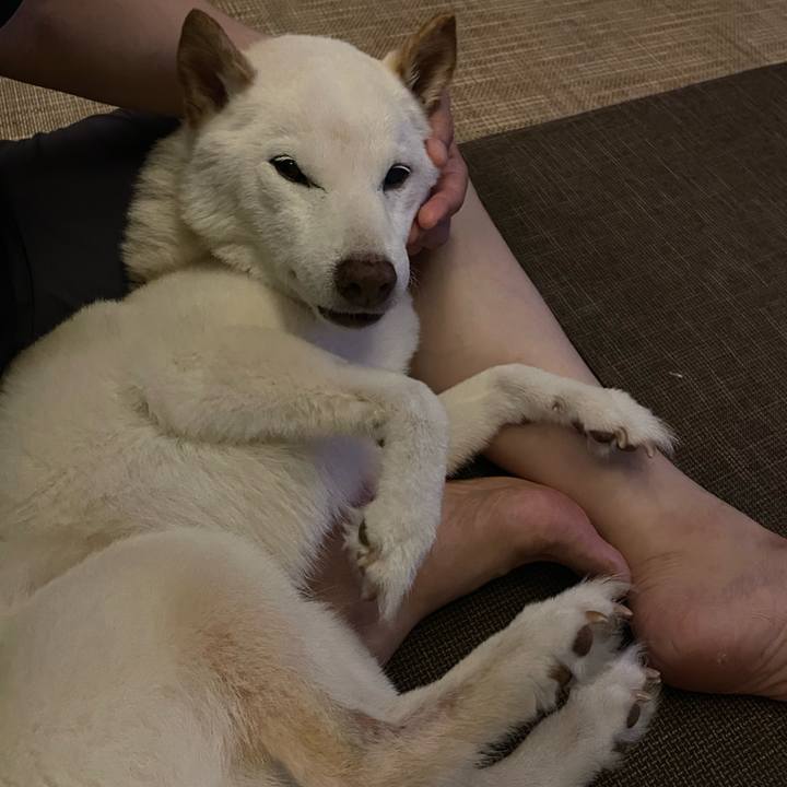 71331a95 0ec1 4016 9141 f8edc9e538ef 1659723017669