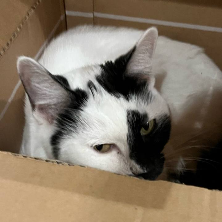 71333096 0de0 489b b6a9 1fc7252155e0 1769525961989