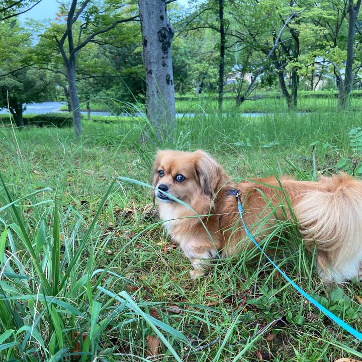 713333bc 151c 493a b881 8e7b5c397734 1599428086824