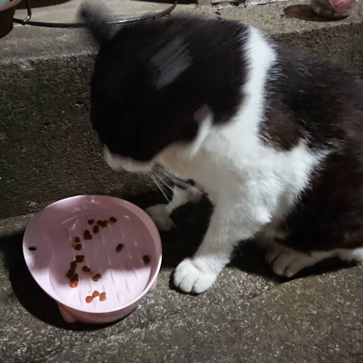 713338ae bb22 4e9c b932 1651c20bbf4f 1690810558448