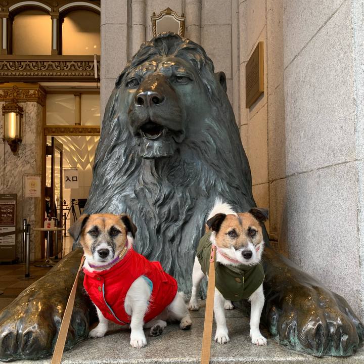 71334ede 3144 4a82 8290 3d76741a3e45 1614933804802