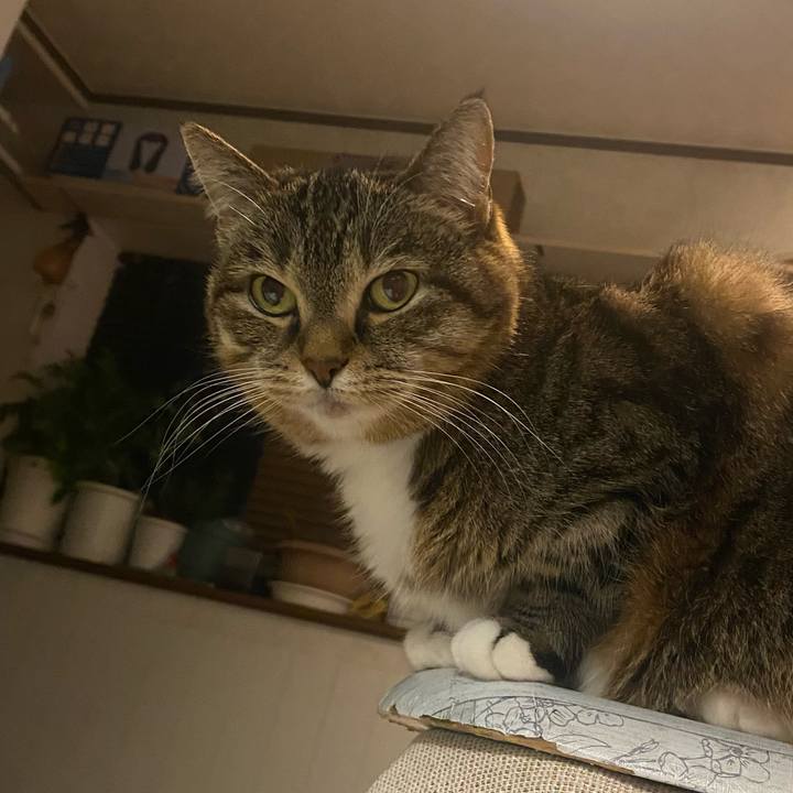 7133c2e1 24a0 4b6e 94bc 918c7edfac5e 1705233250307