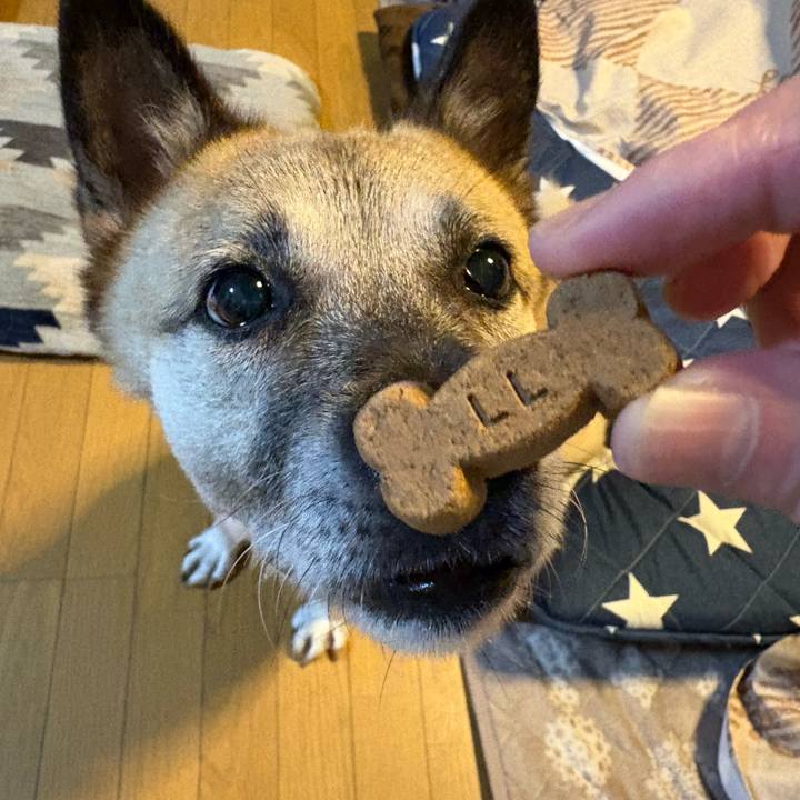 7133cb6f b9ea 4bd2 a10a a2dbb2906c77 1762514155112