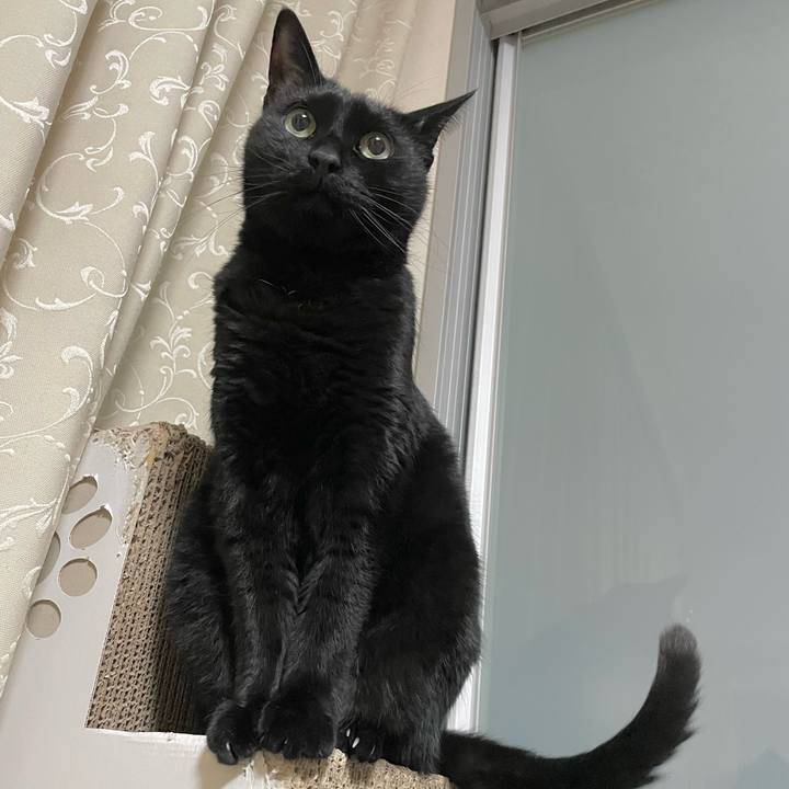 71341467 d292 46a2 bb9c 1642a9394d94 1771506465257