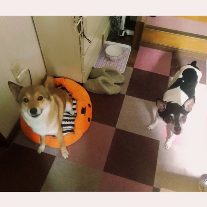 713430fe 3bbf 4555 a7d6 6bfadd156108 1557623767316