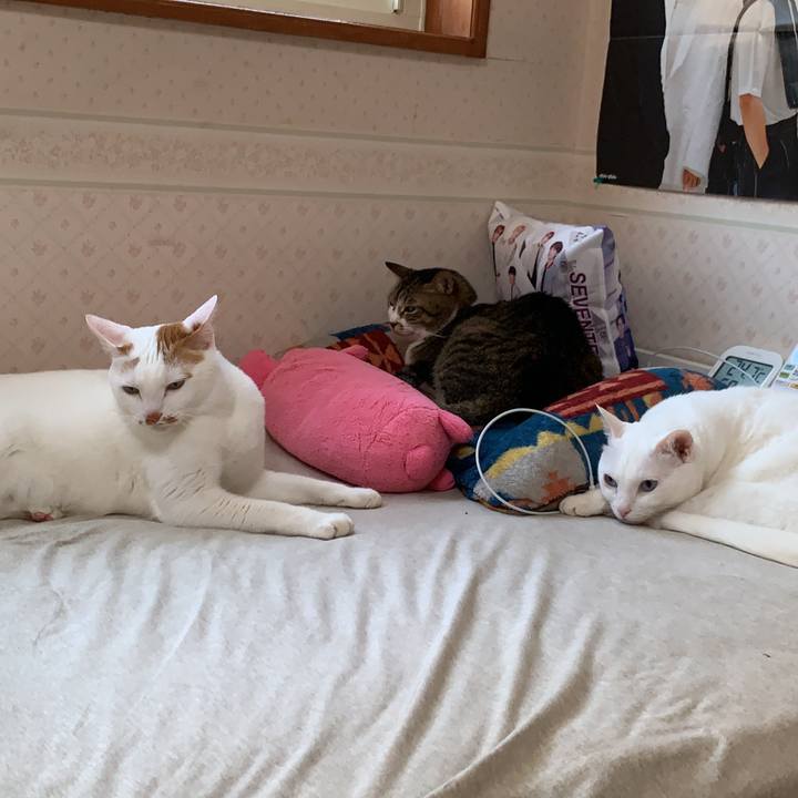 7134732e 4d59 412b a960 70594296b3c2 1622149160444