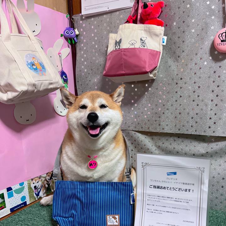 7134883a 8ee9 4026 bfbf 5c086833f62c 1687257336781