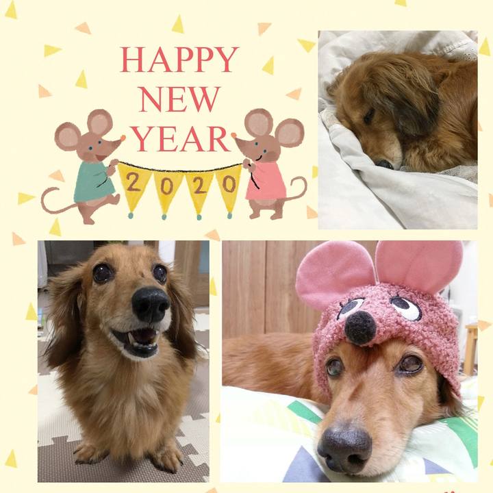 7134fd4d b71a 4e6a 9820 2b15db95e266 1577876981450