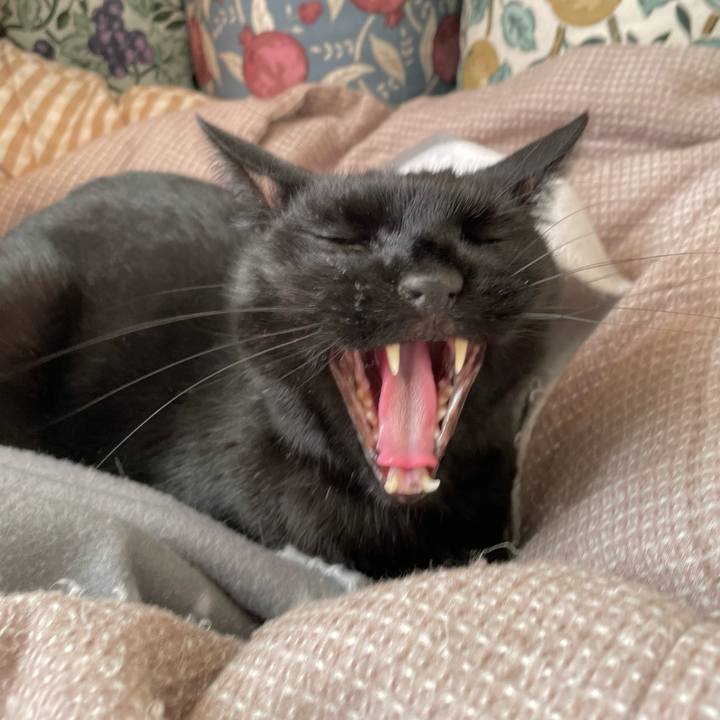 71352bde 15f4 4817 b1ea 6ff45f260301 1772934499497