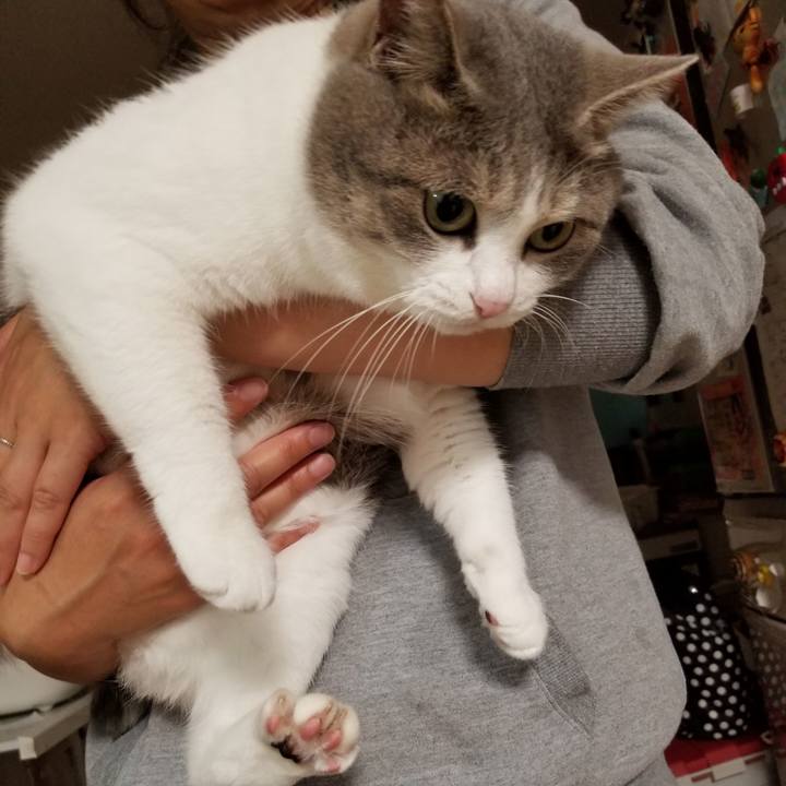 713531f4 fddf 4e1c aafe ccfd03955071 1596028565295