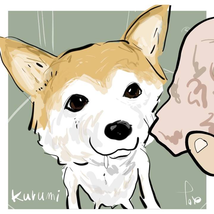 71354762 4b4b 4a34 a2f6 d544e78da22f 1700972199830