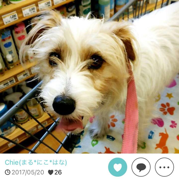 71354e69 c658 497b bc43 6dc2c40aef66 1653122783266