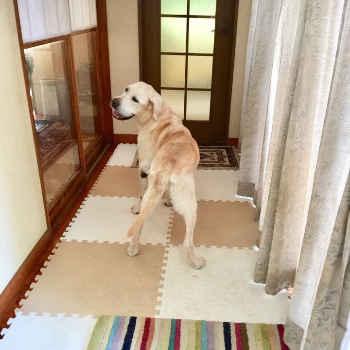 71355496 ab98 402d 81ba f659240a9463 1537789542248