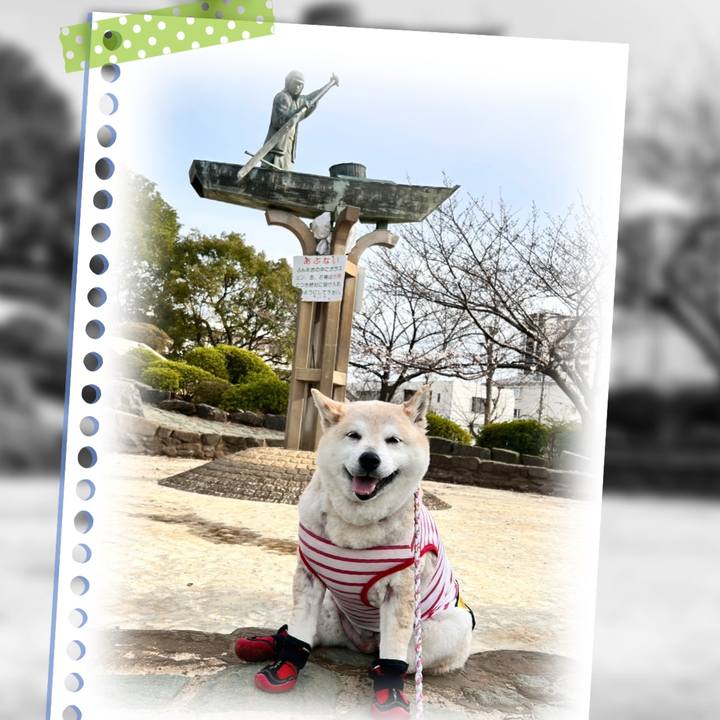 71356a3b d019 4f7a a181 fa169f62b6bf 1747952477833