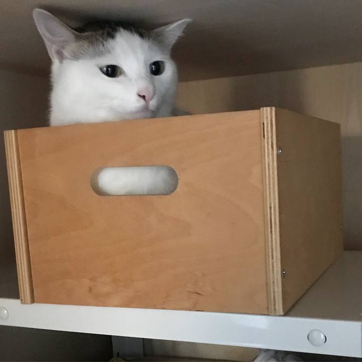 713577dc 1f2a 4884 a441 4936125843c3 1508325118265