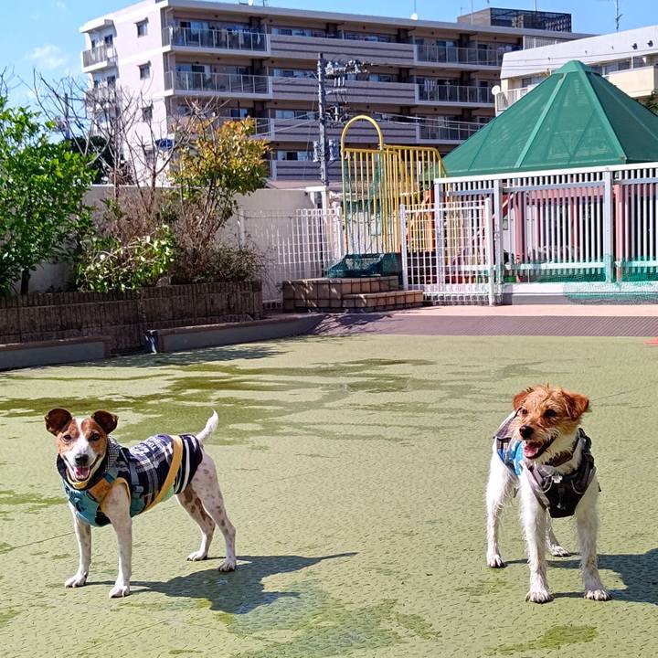 7135927e 1fe0 44a5 9c20 c3d683df10df 1717585799189