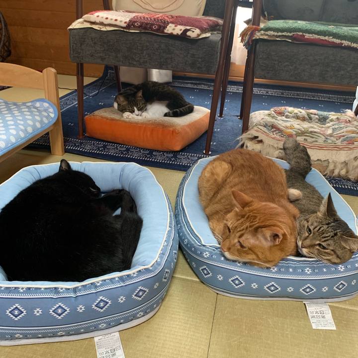 7135ebd1 d39e 4251 9ecd 14352a353bf9 1566960173715