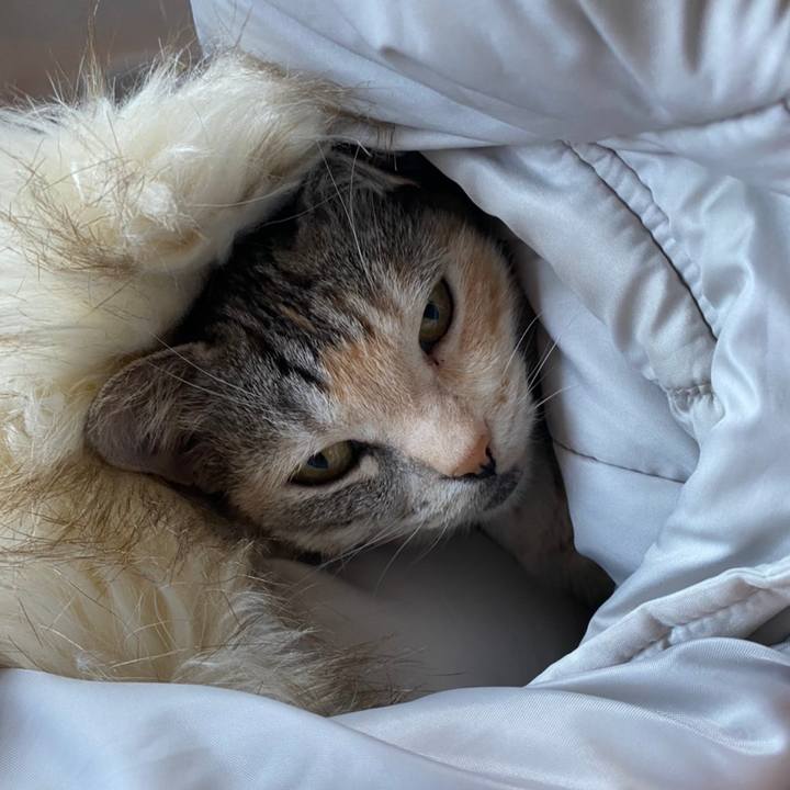 7135ef38 f511 49a5 993a 2e4794f657f4 1609730549534