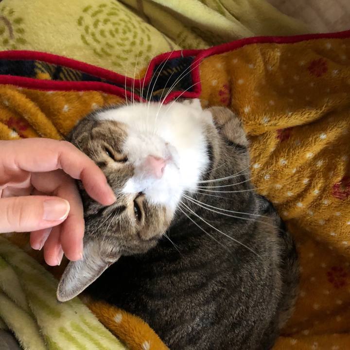 71360878 143d 4d7d b6d8 4220867af10a 1634865209555