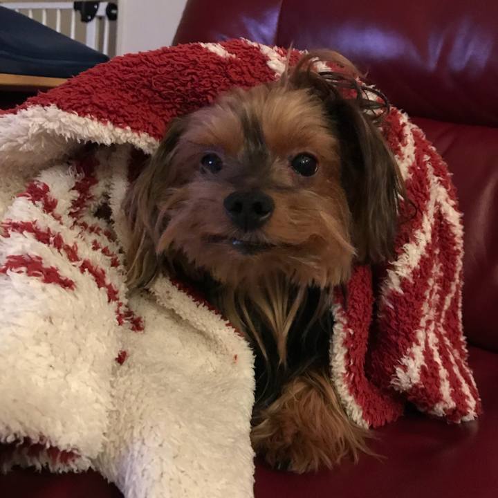 713639f6 3026 49cb 9b2f 6e1ee7b8cad0 1535369294210