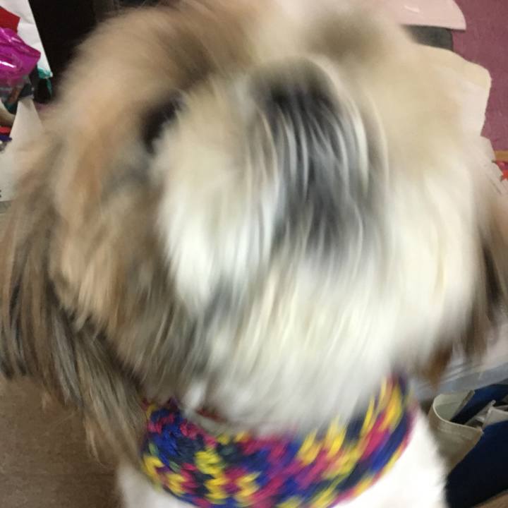 71365366 05ae 47c4 9037 a5529ae18717 1523770058686