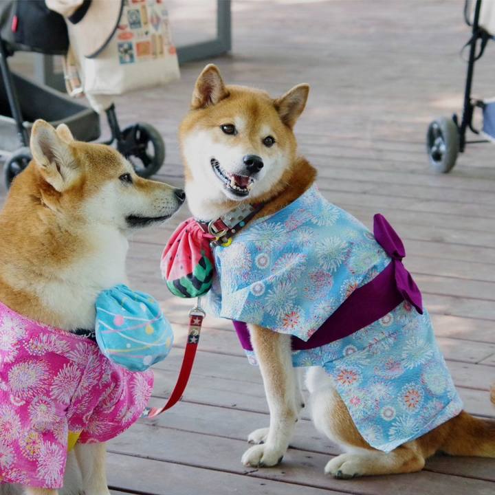 713681a8 6163 4a5f 95ad 2109a27b0fad 1690304242477