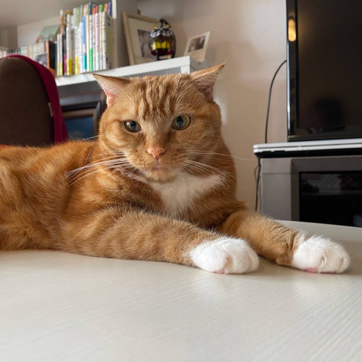 71368a9b 9e3a 4ace bfe9 2818c4e7dcf3 1617502785151