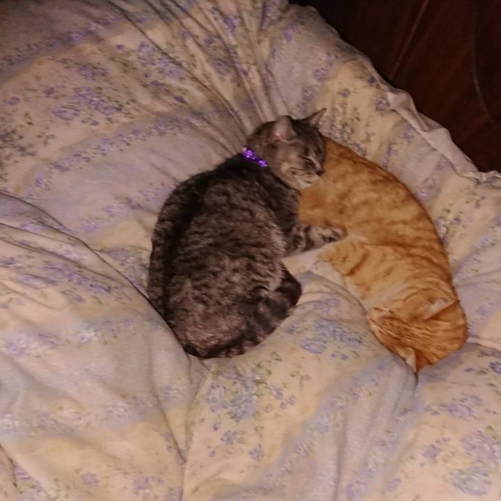 7136b8fc 35a8 4b82 80b6 b393047986f9 1583249233933