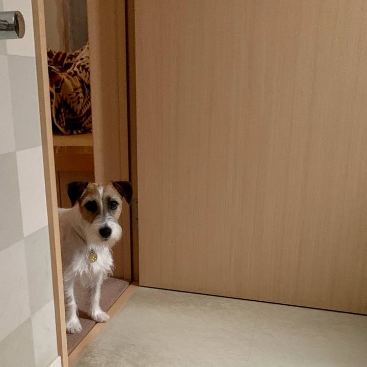 7136dc08 5f3f 46a8 a912 8417f22032c4 1624101839184