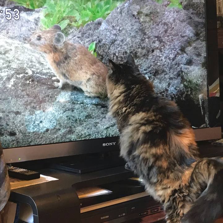 7136e0ab 4f91 43b9 80a2 98545e3f85b7 1634430399822