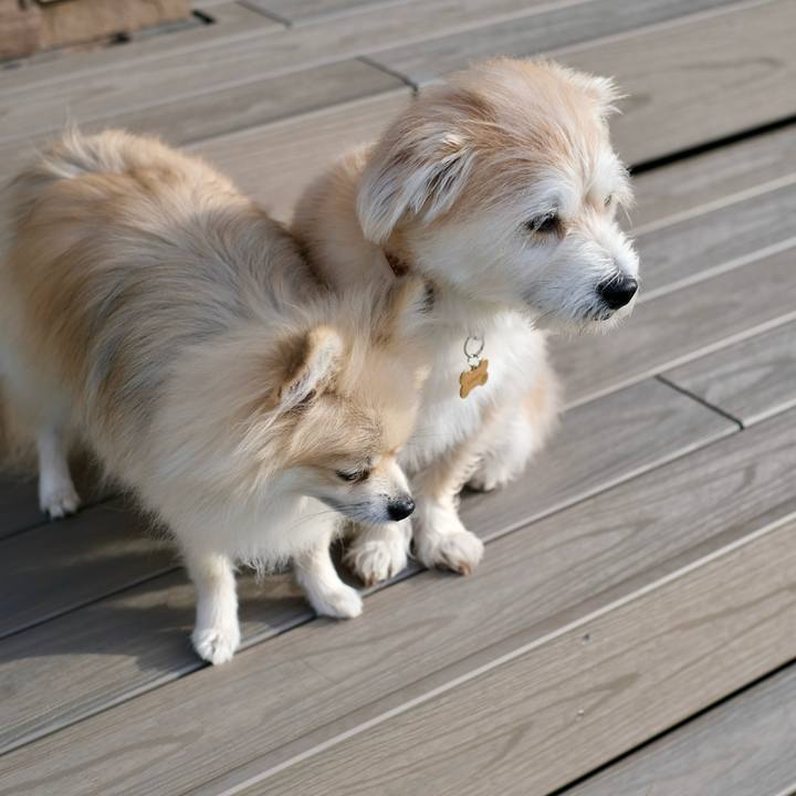 7136fb6d 676b 44c6 874c 3ed6d8c6b9f2 1758582395860