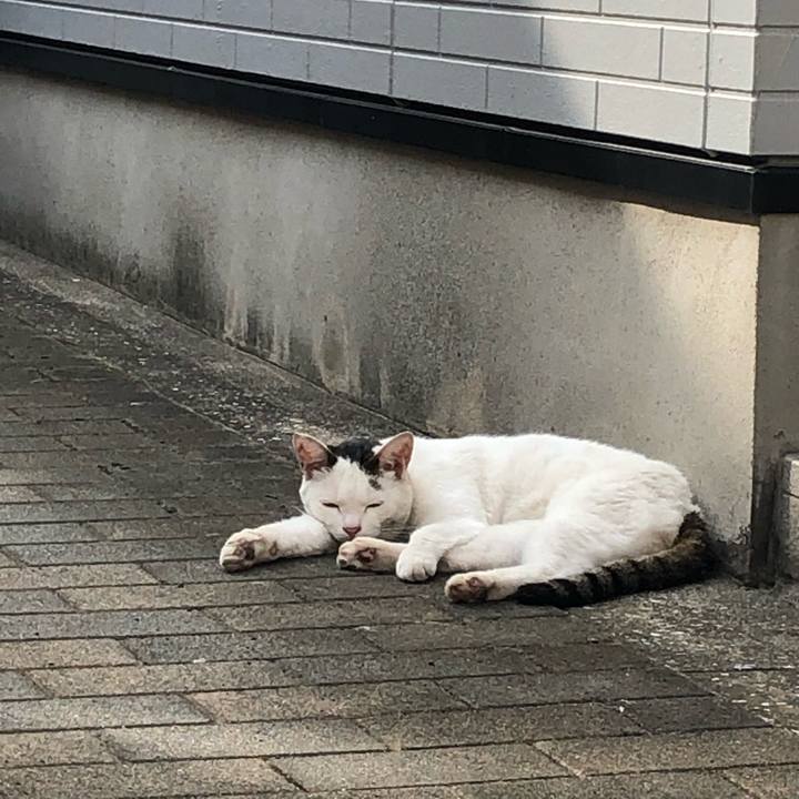 713722b5 9397 4f67 926d d7a298e3874d 1566720501184