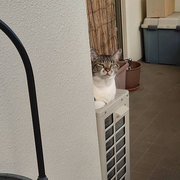 713728fe c4fd 4056 a1e9 bed535d78f30 1640910197566