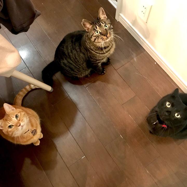 713759ac b83f 4ce9 b361 f298b0616246 1574990102980