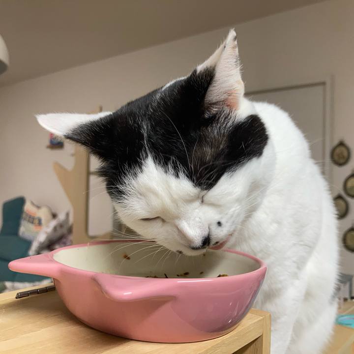 71375b27 e599 4db1 ac2c ca1cf495246c 1765056785791