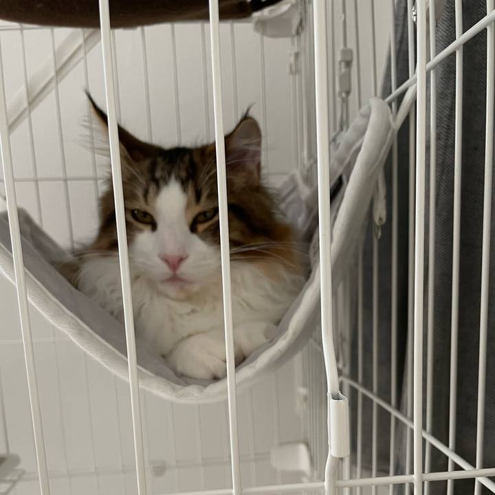 7137625a bd96 4e85 bf5d 2bc27a0a776c 1638691316940