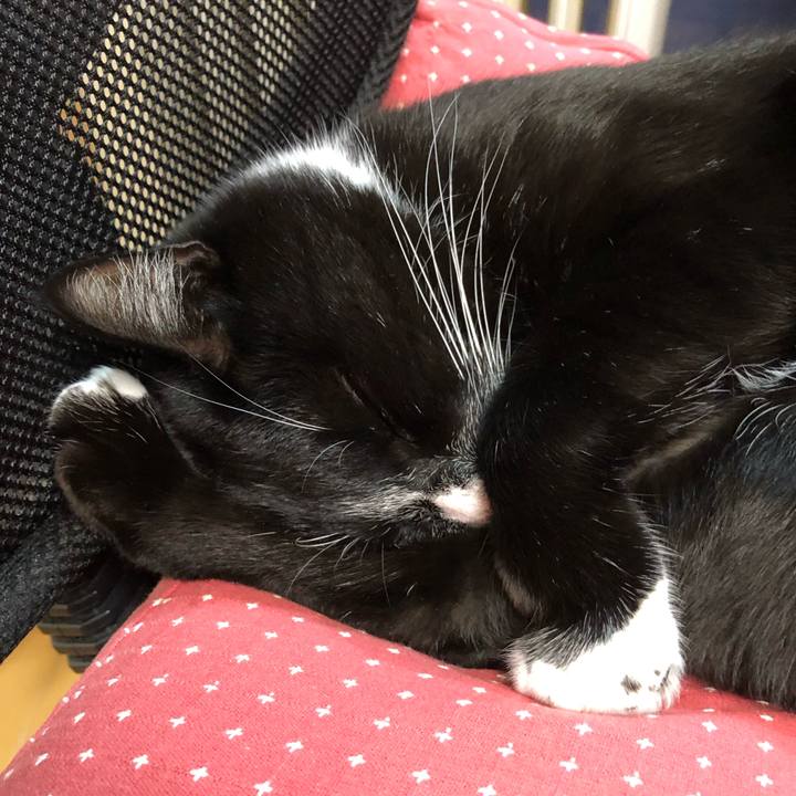 71377120 f604 4e96 8b8a 565a6014fbc1 1574912692661