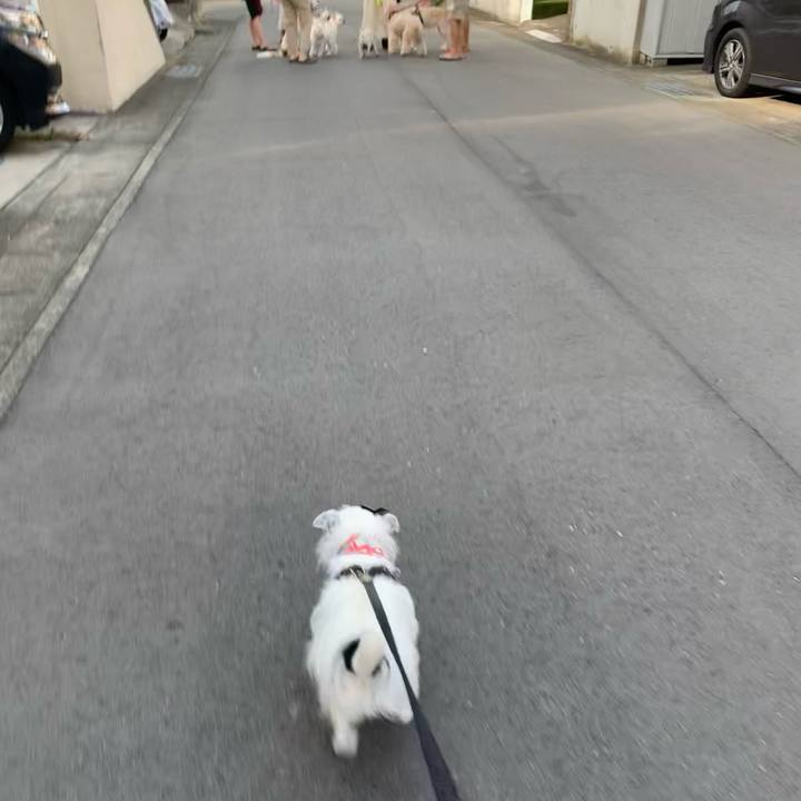 713781b7 67e1 4e8e 8810 bbabafd9c629 1757545669607