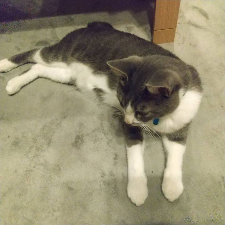 713786f4 6e4f 4e11 985d f13736b579c1 1599312445930