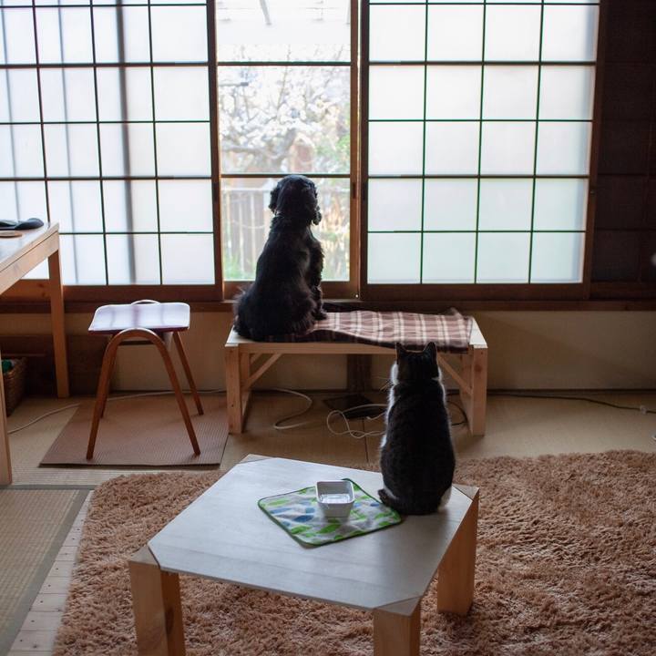 7137c34f f0fa 4b90 a77d c3edcf161db3 1582099861372