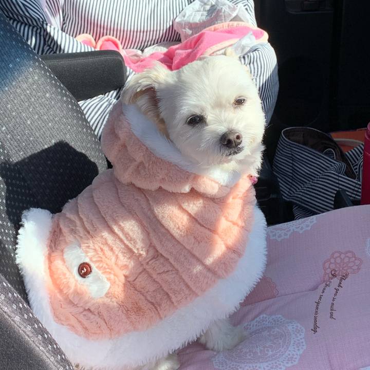 7137e8a0 c6f1 451b bd75 3ad6b38de3a5 1610947290921