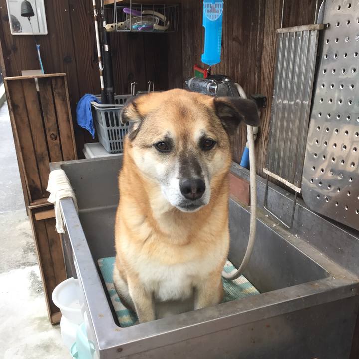 71380c86 7ab7 412e acde d84a3be34014 1559459185038