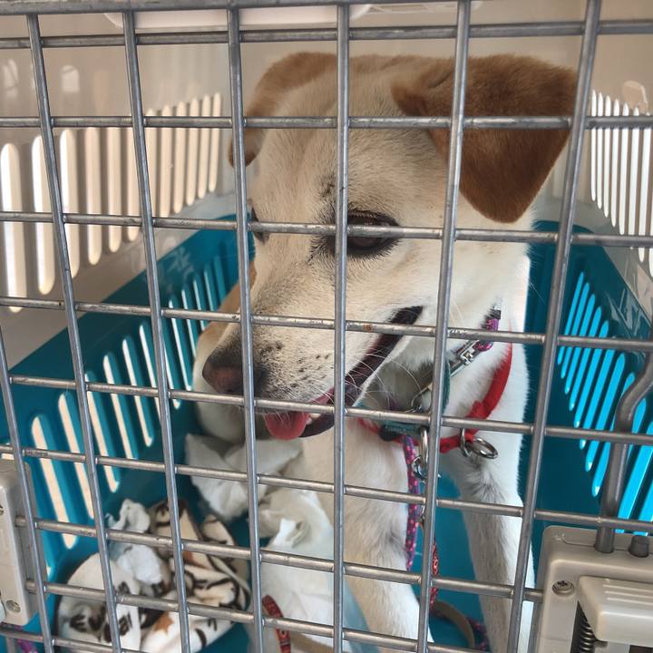 71383714 1432 413e 8f7c 7a3458b8d714 1623286062287