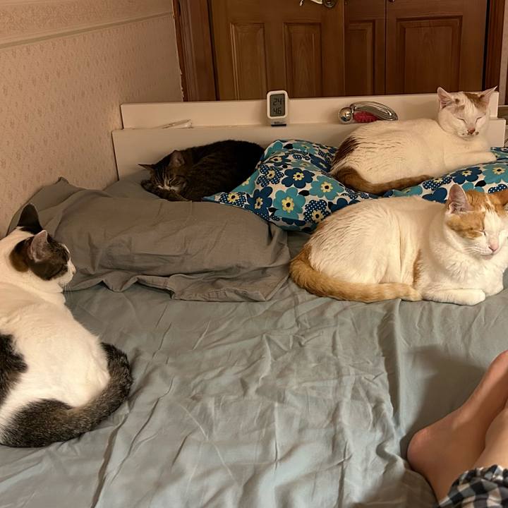 71383ea1 ce1c 4d74 9f4c 8c2b285f591b 1681480604316