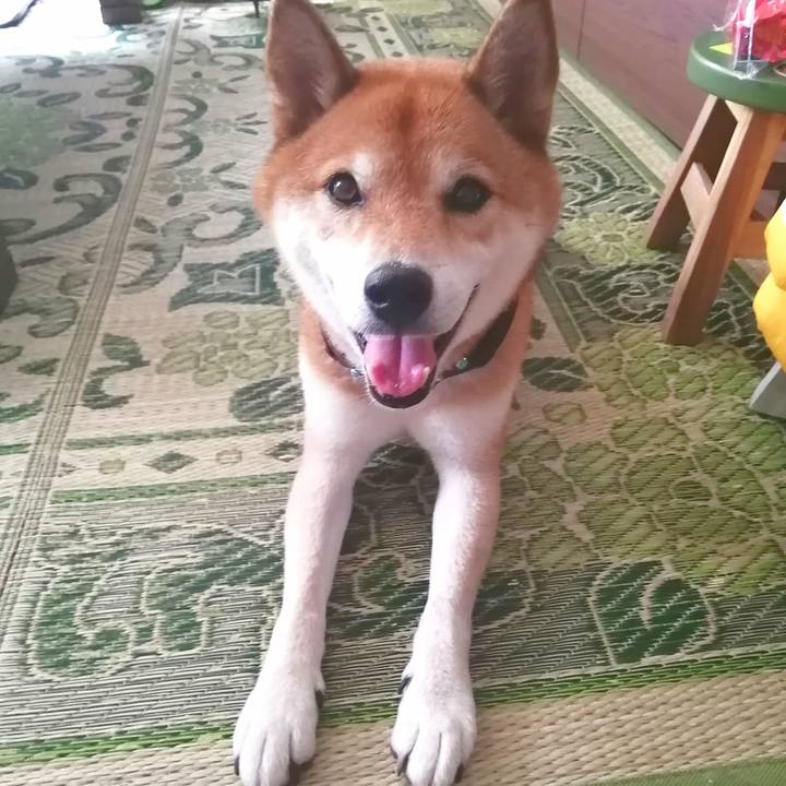 71383f82 95be 403a 9fcc 2d343005bb67 1660614214196